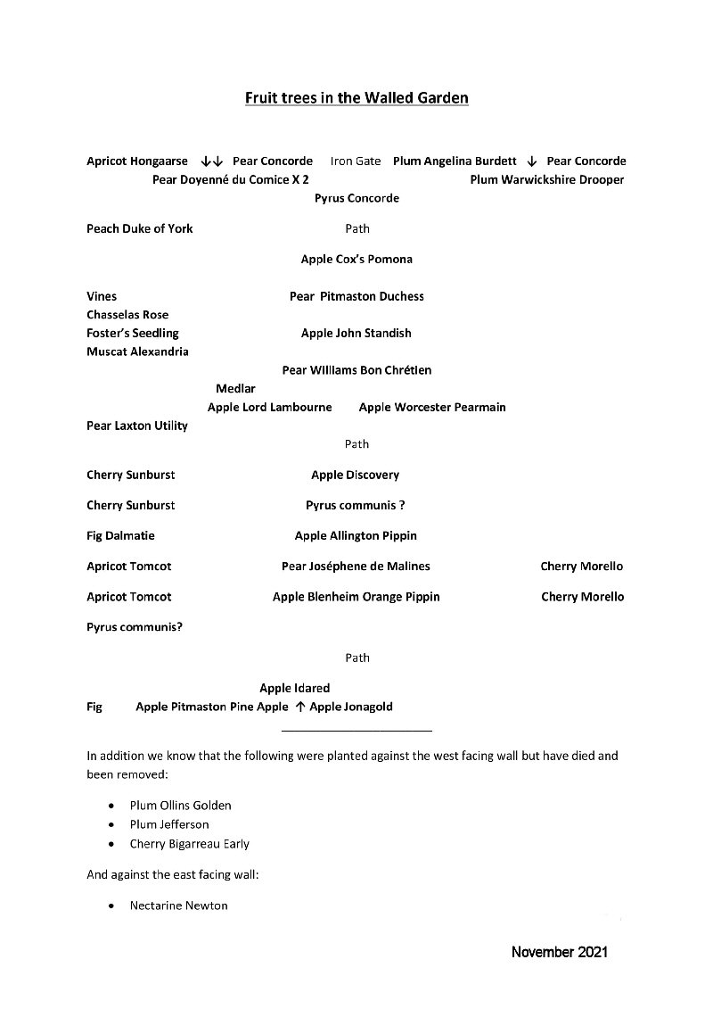 Fruit trees in the Walled Garden